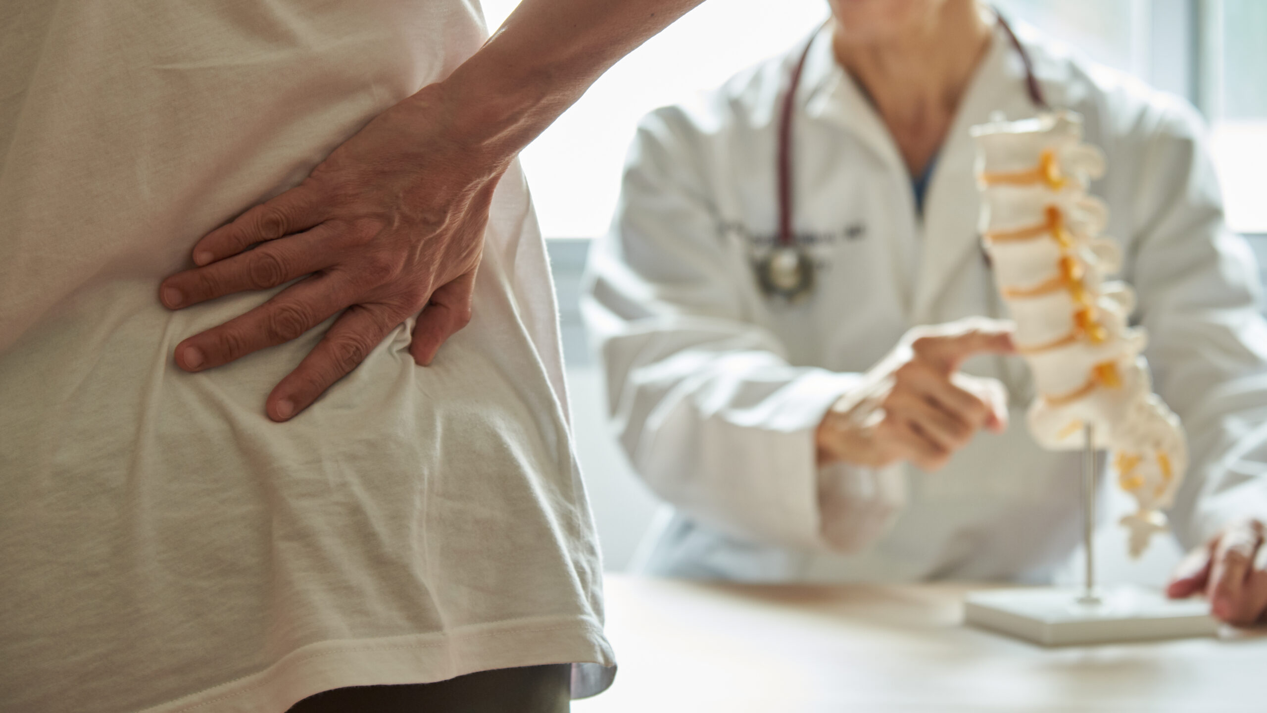 a doctor pointing at vertebra